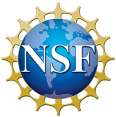 Logo NSF